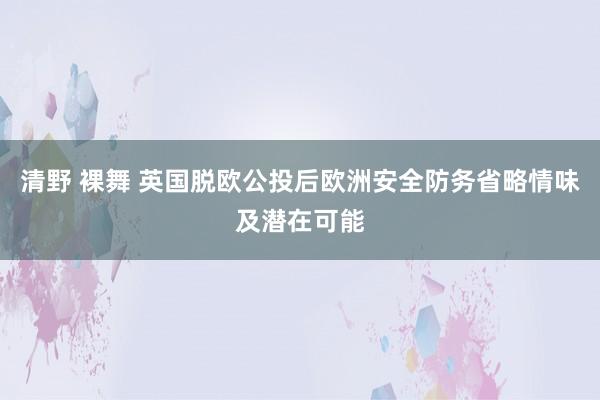 清野 裸舞 英国脱欧公投后欧洲安全防务省略情味及潜在可能