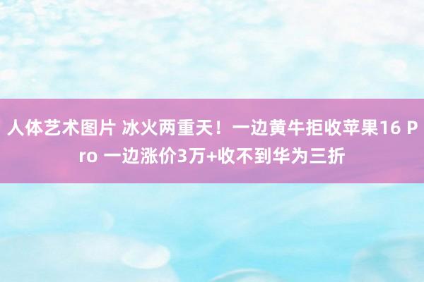 人体艺术图片 冰火两重天！一边黄牛拒收苹果16 Pro 一边涨价3万+收不到华为三折